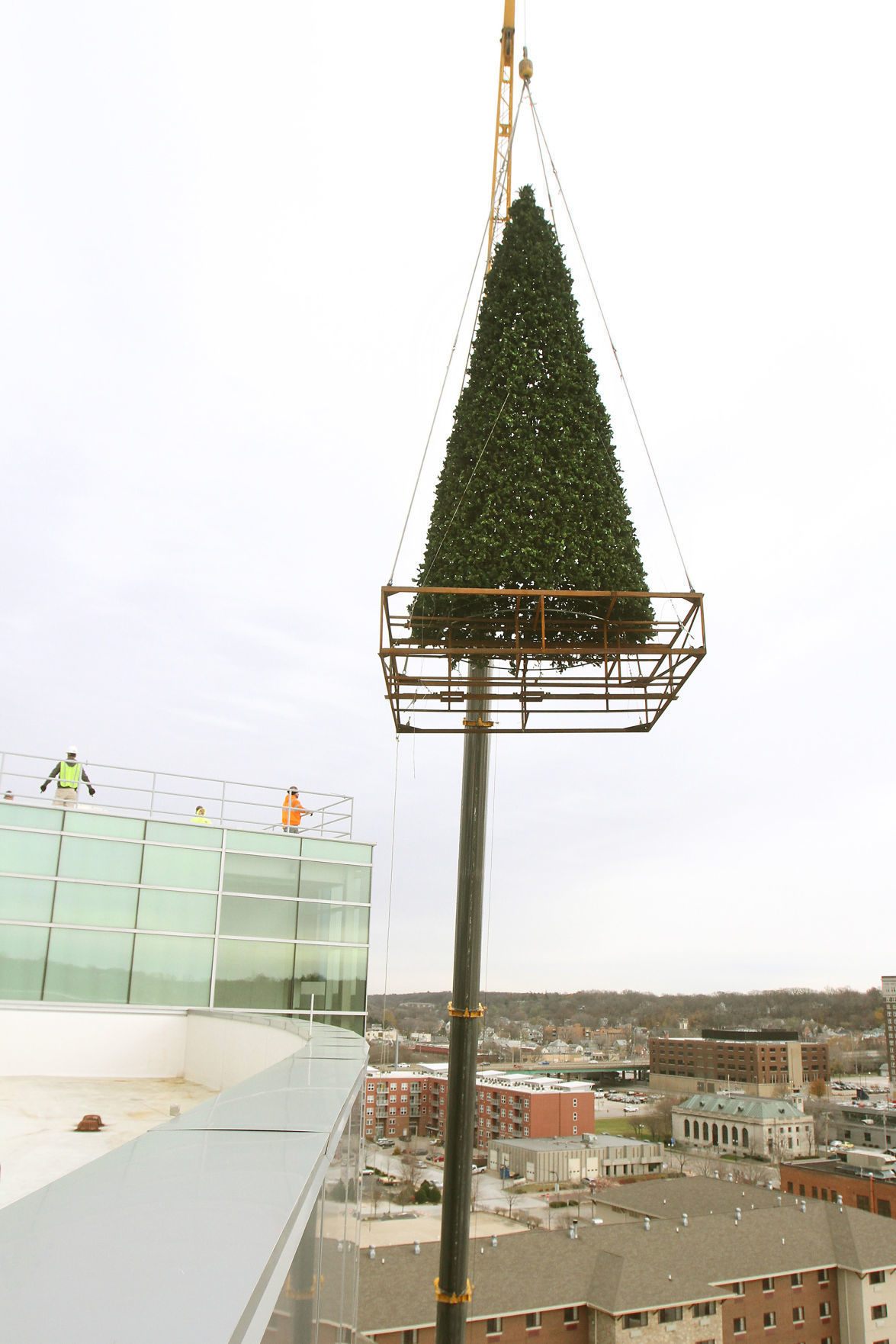 112015-kone-tree-008